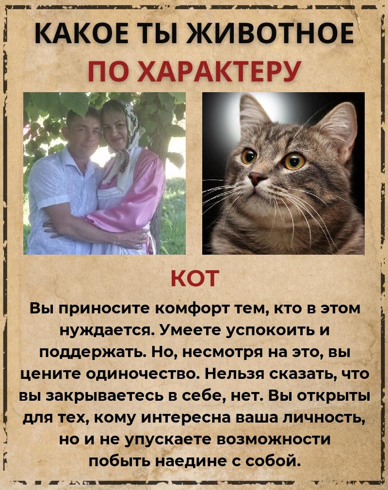 Александр Тюкалов | Чебоксары