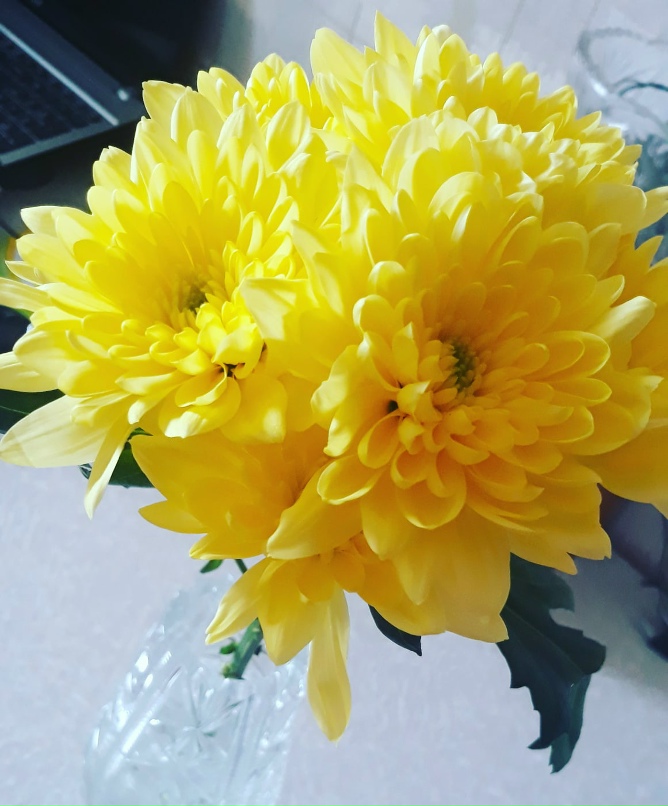 Анна Власенко | Кемерово