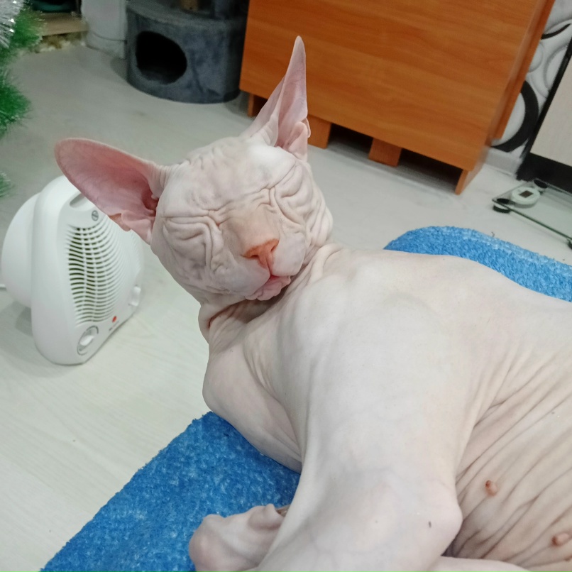 Надежда Караваева | Сегежа