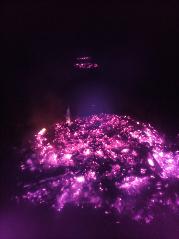 Игорь Никольский | Тула