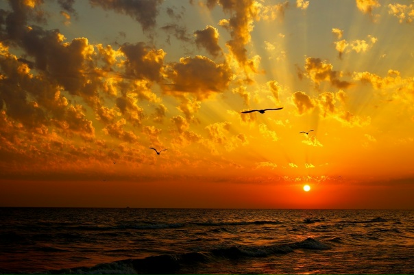 Черноморский закат - Фото № 51768