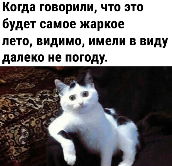 Где солнышко а?