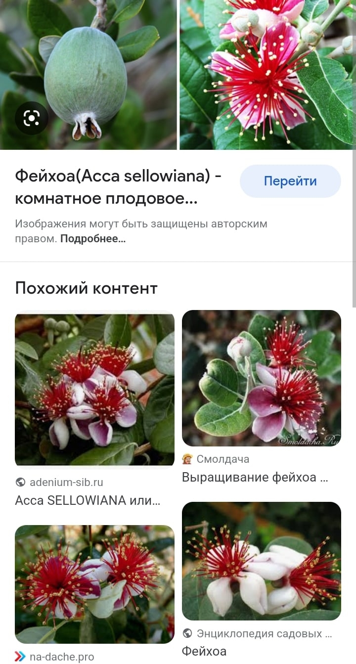Ирина Черкашина | Феодосия