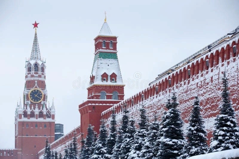 Голубые ели у кремлевской стены в москве Голубые ели у кремлевской стены в москве