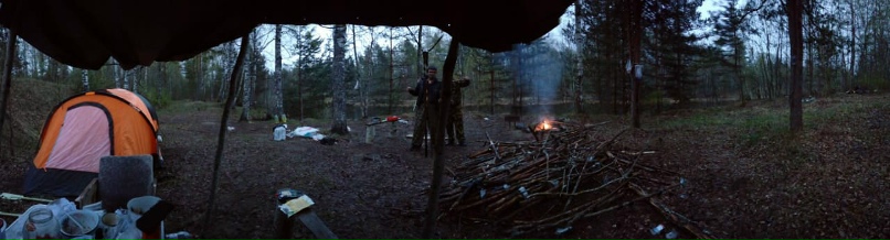 Алексей Петров | Санкт-Петербург