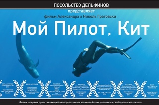 Dolphin Embassy. Мой Пилот, Кит / My Pilot, Whale (RUS)