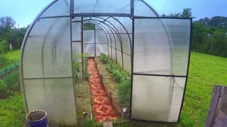 Garden BBQ in Kimry Russia 2024!    ! Барбекю в саду в Кимрах, Россия !
