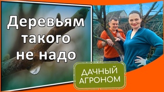 Сад задубеет, если осенью не сделать это